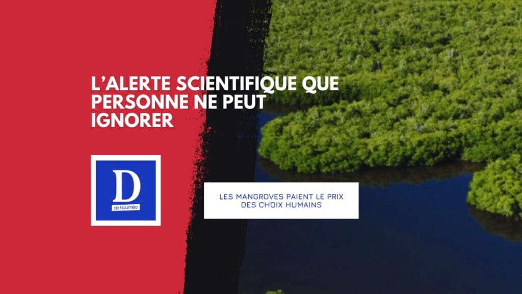 Quand la mangrove disparaît, c’est le territoire qui vacille