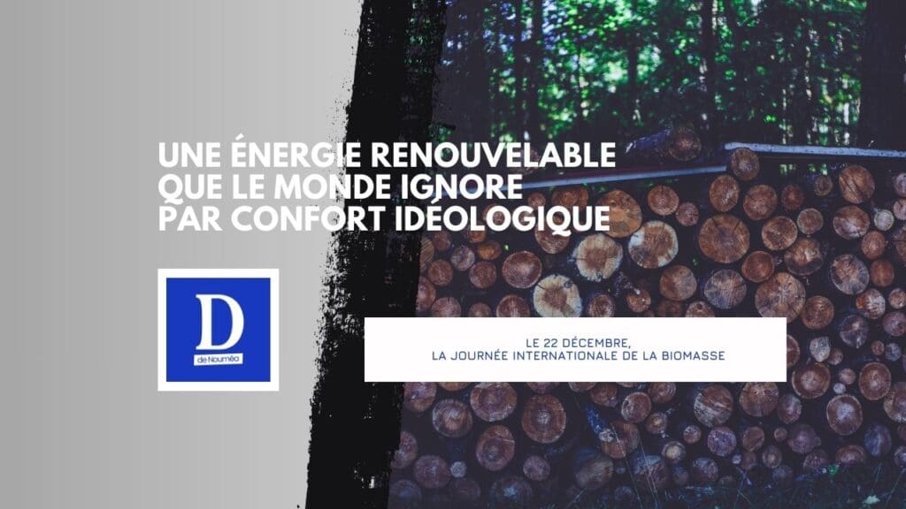 Biomasse, l’énergie propre qu’on célèbre… mais qu’on n’utilise pas
