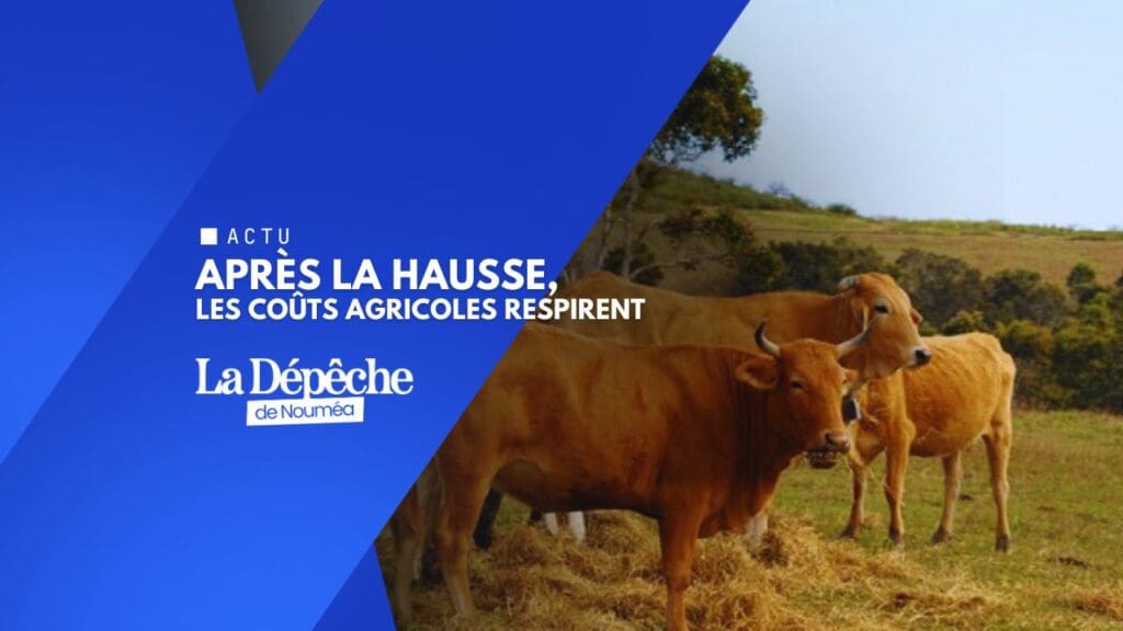 Agriculture : les prix cessent enfin de grimper