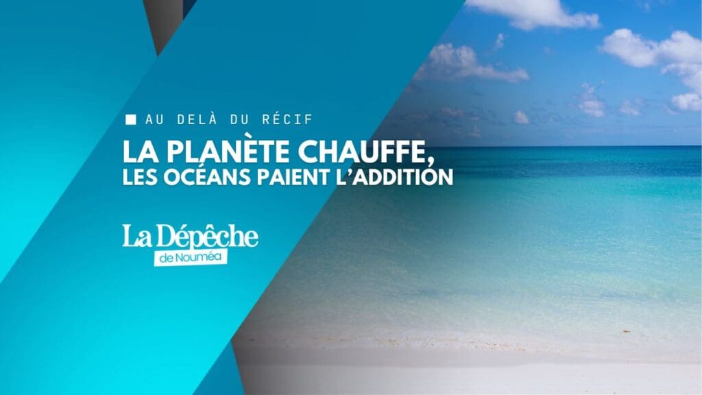 Chaleur record : les océans au bord de la saturation