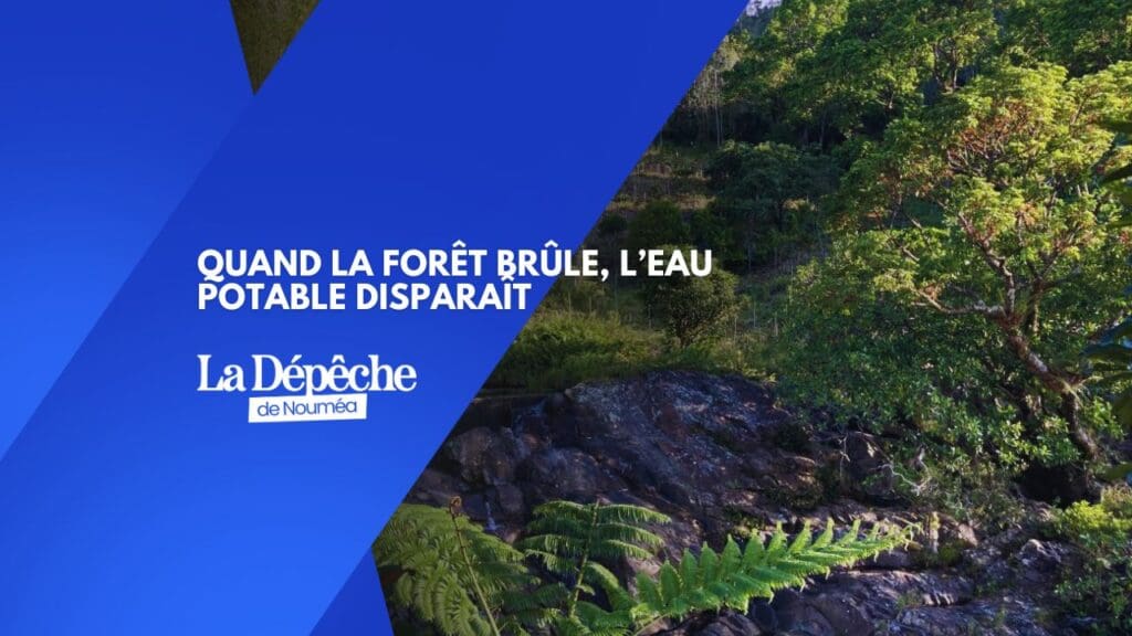 Feux de forêt : l’autre crise sanitaire que personne ne veut voir