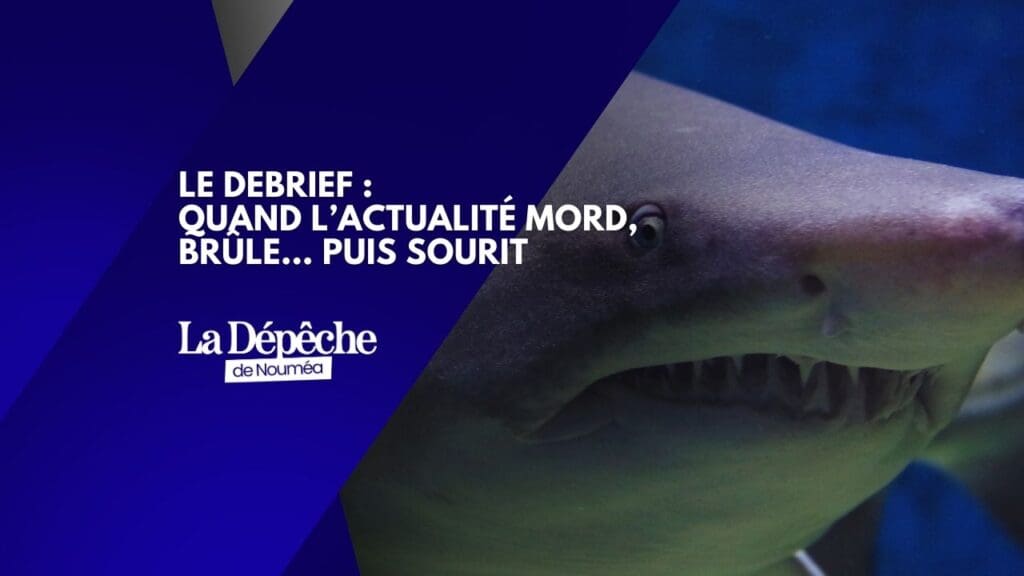 Quand l’actualité mord, brûle… puis sourit