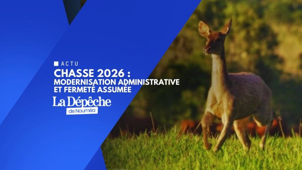 Province Sud : le permis de chasser passe à l’ère du contrôle