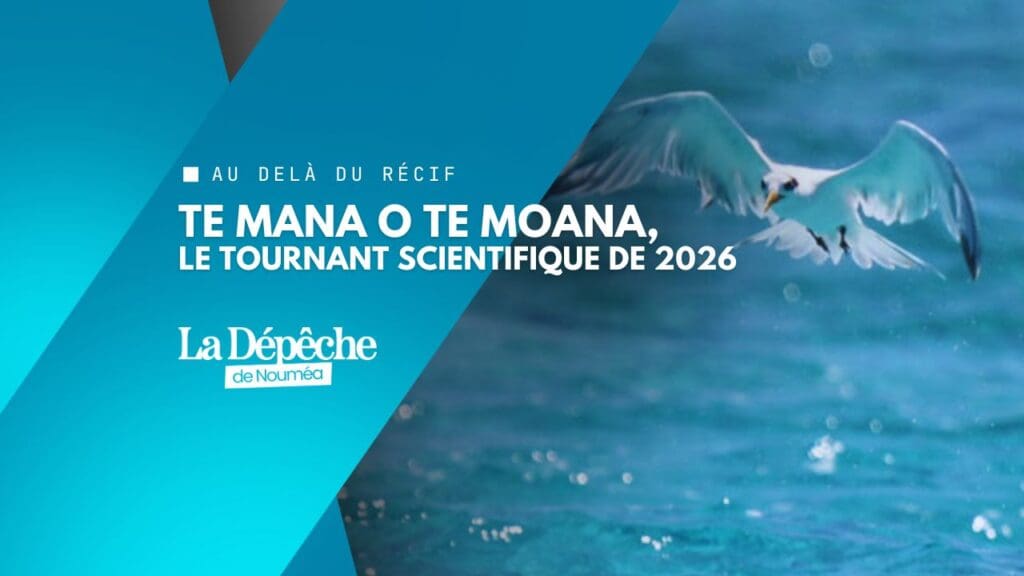 REMMOA 2 : le grand recensement marin relancé