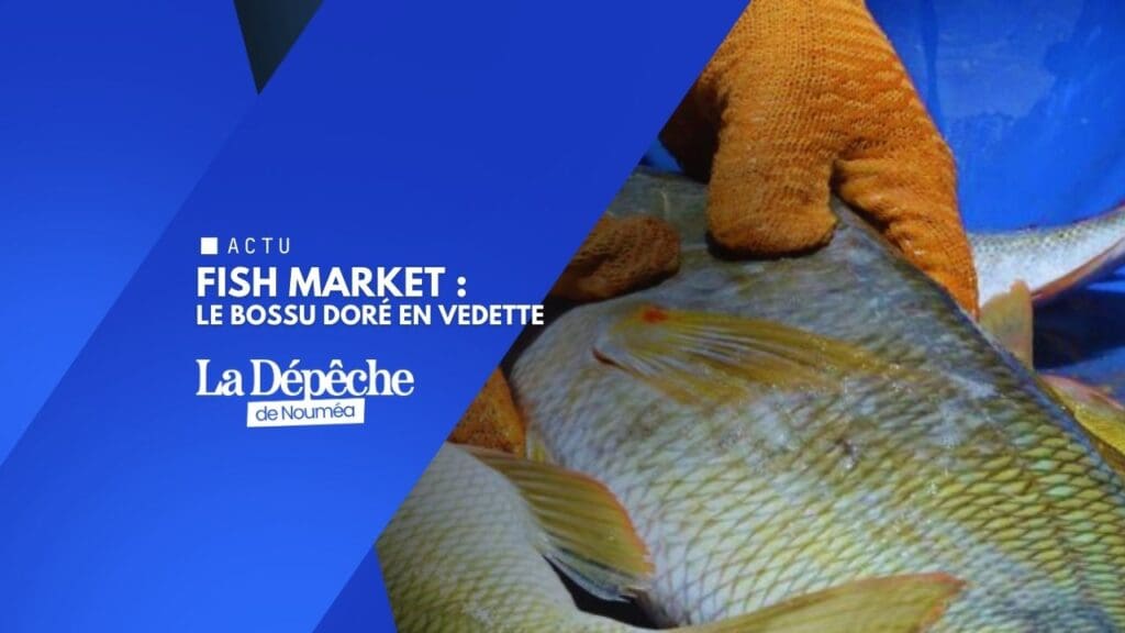 Manger local : les pêcheurs passent à l’action